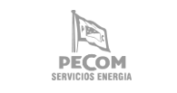 pecom